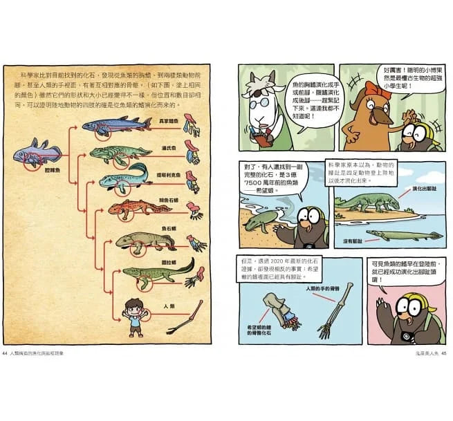 達克比辦案 #6-10集套書-非故事: 常識通識 General Knowledge-買書書 BuyBookBook