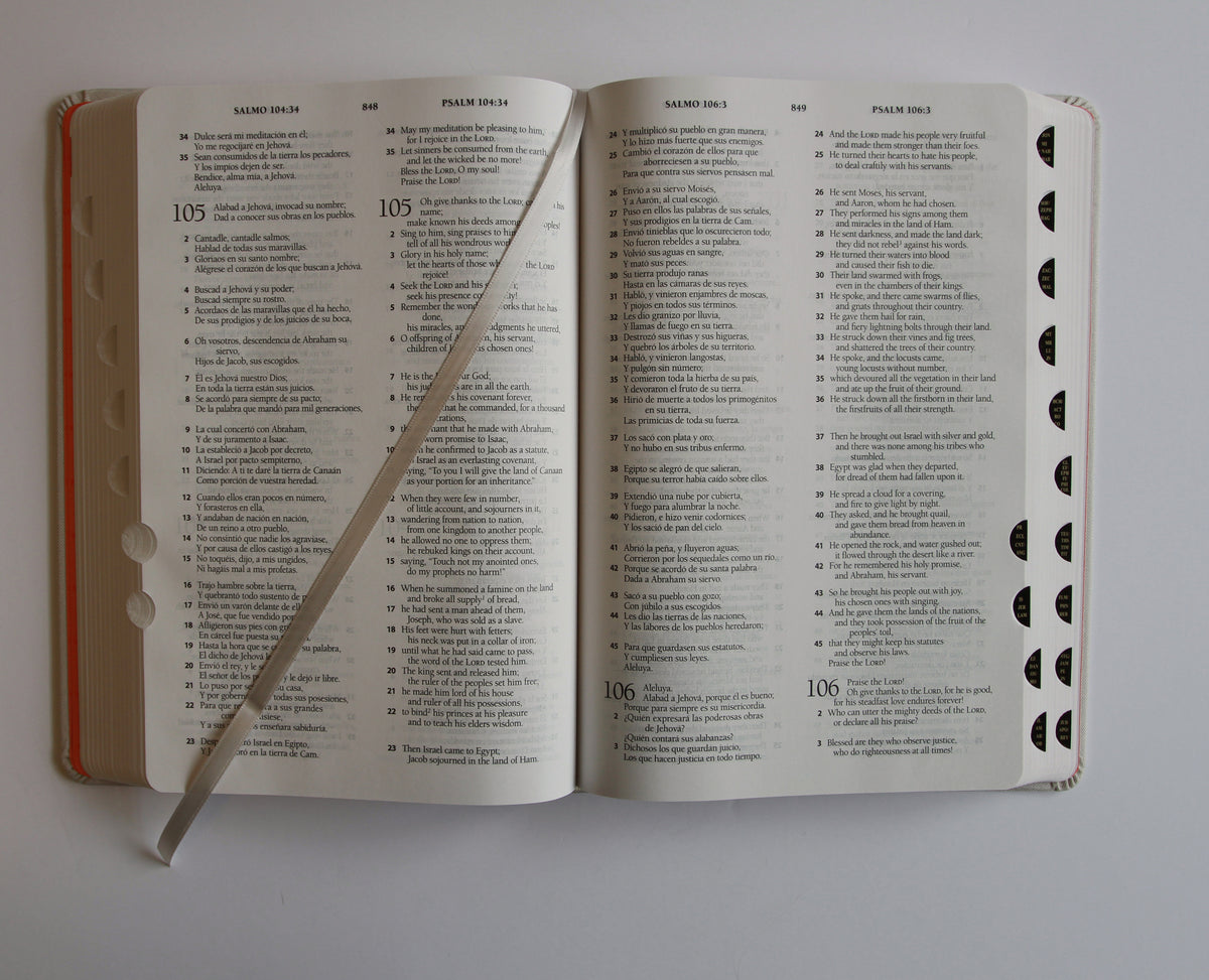 Biblia Bilingüe Reina Valera 1960/ESV letra grande tapa dura tela con índice / Bilingual Bible ESV/RVR 1960 Large Print Cloth Hardcover with Index interior 10 (ISBN 9798890985361) [onix:b8cc73401c5c1799033b8f4b390b1b1c]