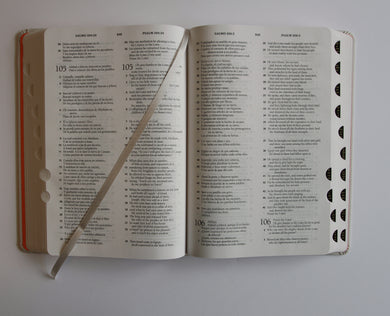 Biblia Bilingüe Reina Valera 1960/ESV letra grande tapa dura tela con índice / Bilingual Bible ESV/RVR 1960 Large Print Cloth Hardcover with Index interior 10 (ISBN 9798890985361) [onix:b8cc73401c5c1799033b8f4b390b1b1c]
