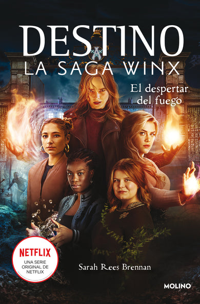 El despertar del fuego / Lighting the Fire cover (ISBN 9788427277977) [onix:a04987c2e99ff1b59edf5d2eb8da68c3]