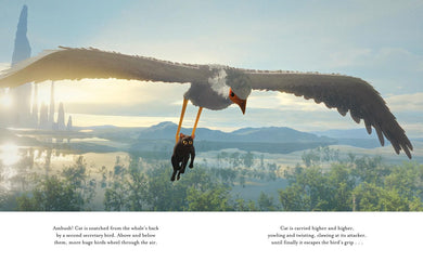 Flow Picture Book