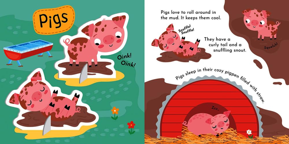 Build and Play Kit: Build and Play Farm (Robyn Gale)-Children’s / Teenage general interest: Hobbies/ quizzes/ toys and games-買書書 BuyBookBook