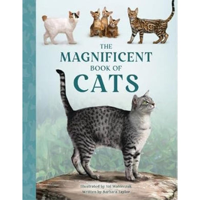 The Magnificent Book of Cats (Barbara Taylor)-Children’s / Teenage general interest: Nature and animals-買書書 BuyBookBook
