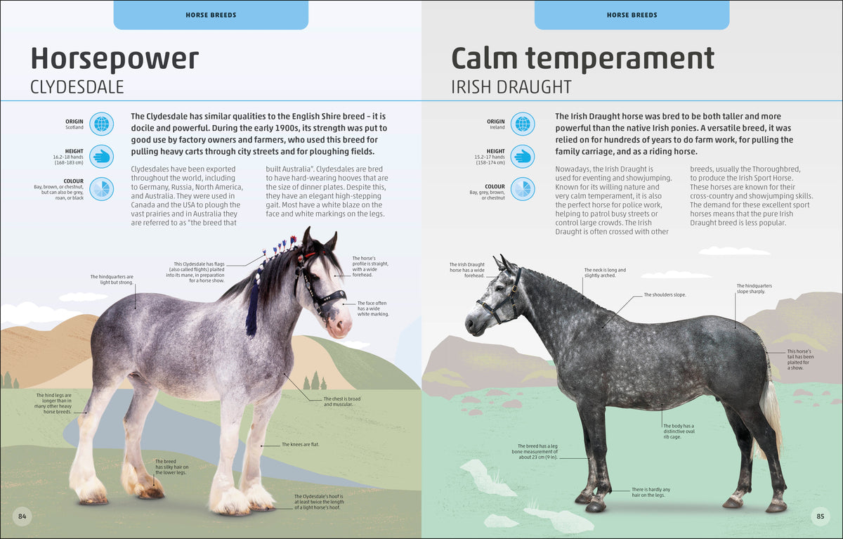 Horses & Ponies interior 6 (ISBN 9780241446638) [onix-asset:08ee24861ccd16388aca7a3b96d3b040d73c776c0800a8675682fddbb835db31]