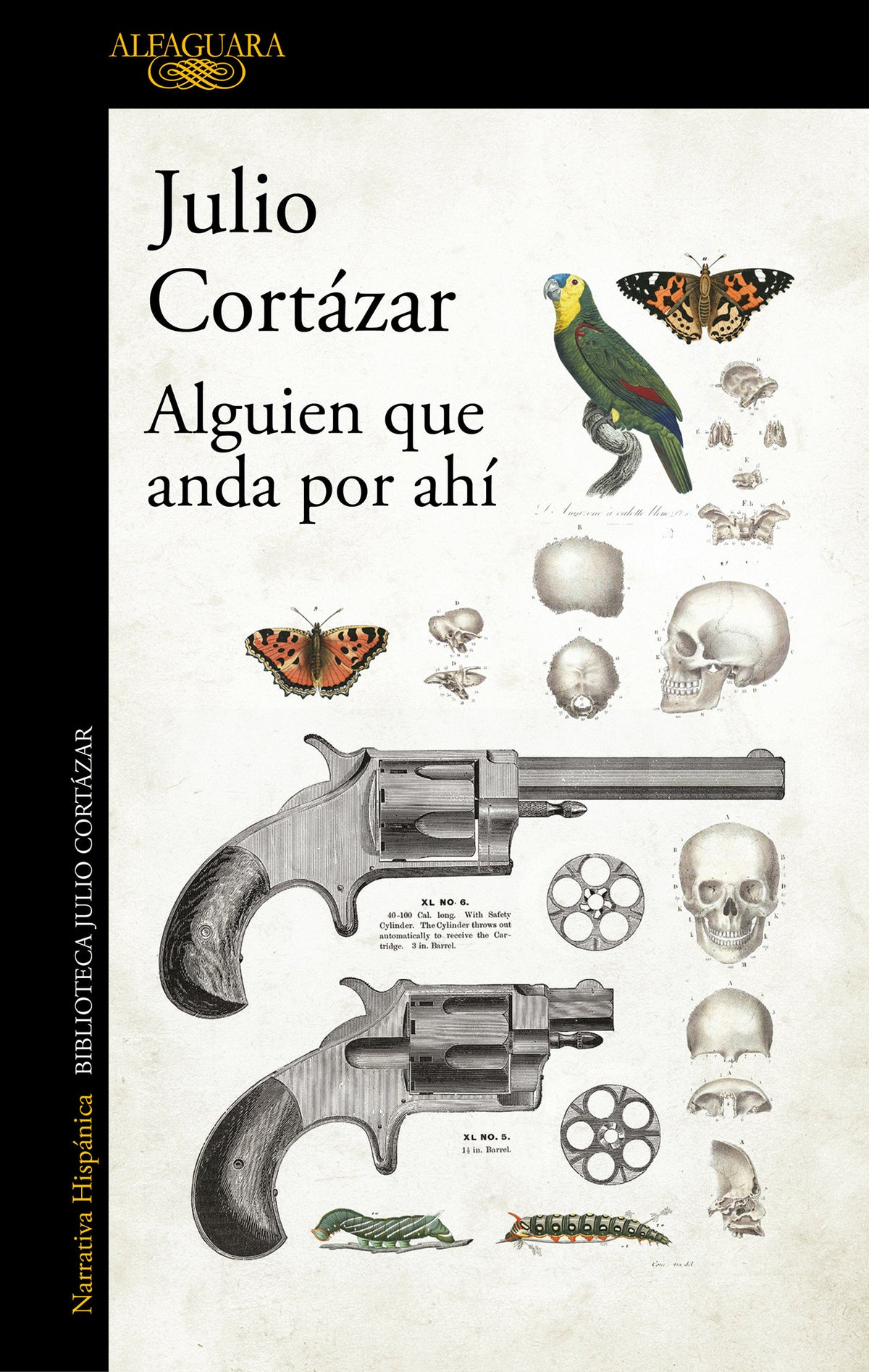 Alguien que anda por ahí / Someone Out There cover (ISBN 9789505112203) [onix:f17c99567333c31b593e93da811d1eec]