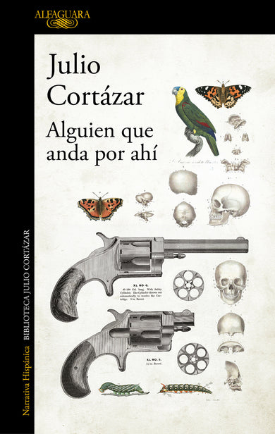 Alguien que anda por ahí / Someone Out There cover (ISBN 9789505112203) [onix:f17c99567333c31b593e93da811d1eec]