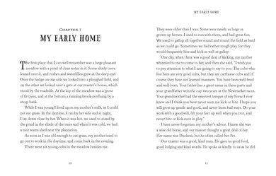 Black Beauty interior 1 (ISBN 9781474940610) [onix-asset:7cf7f218c228c926539434bed82ee38a084498f10d868a1858efb781bbfe4601]