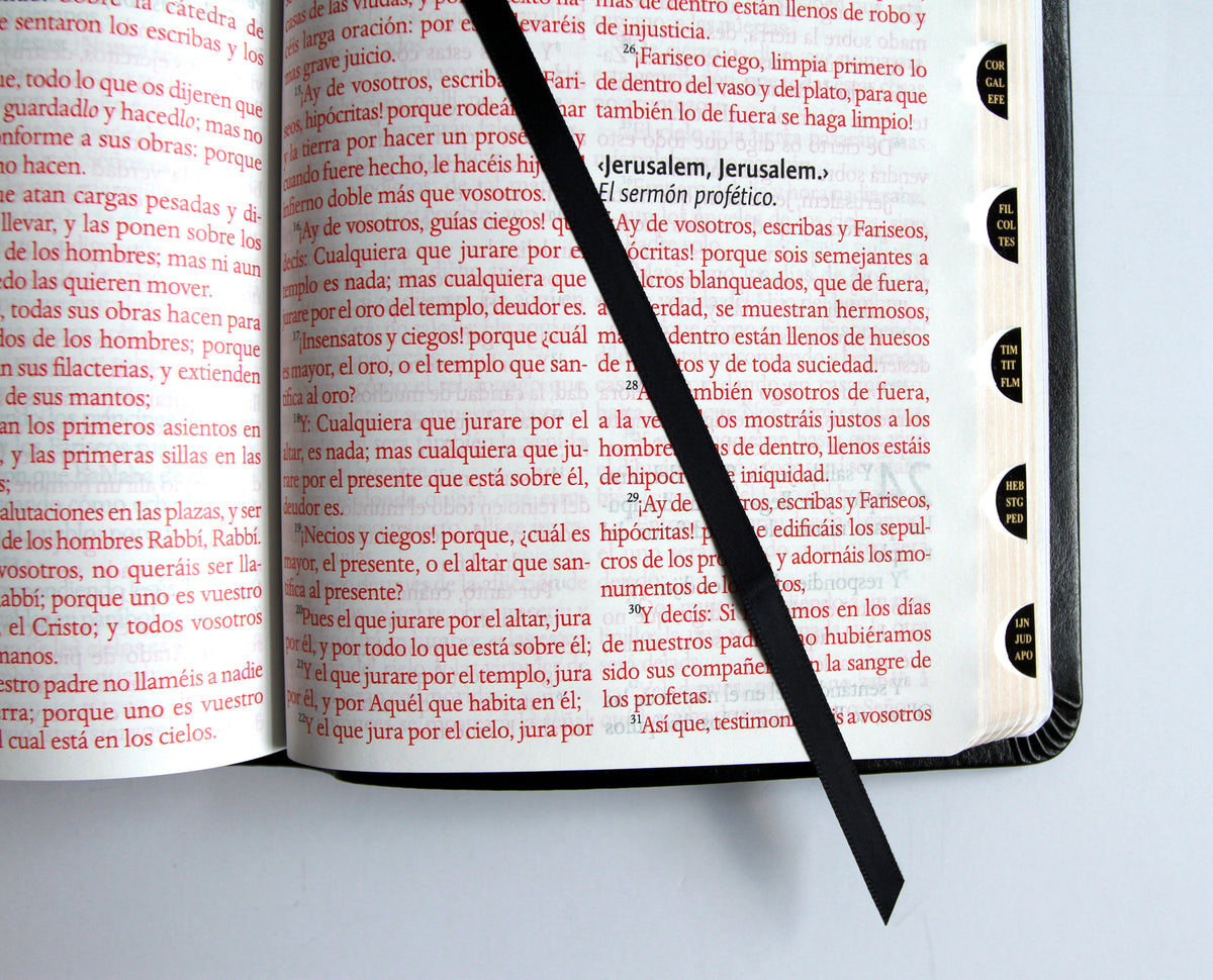 Biblia Reina Valera letra gigante, símil piel negro con índice / Spanish Bible Reina Valera Giant Print, Black Leathersoft with Index interior 5 (ISBN 9798890985576) [onix:4b9a6a892a4bfe774fcfe10fcdf7b432]