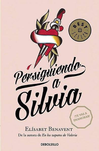 Persiguiendo a Silvia / Chasing Silvia cover (ISBN 9788490628522) [onix:3780ad87ad842557011287026d067013]