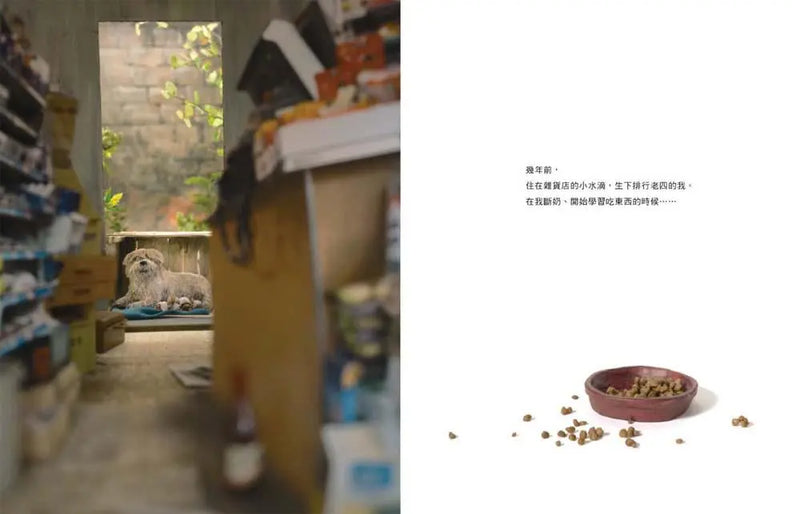 我是狗-Children’s / Teenage fiction: Family and home stories-買書書 BuyBookBook