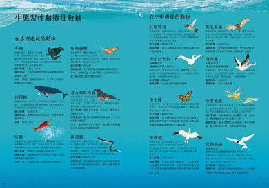 當動物踏上遷徙的旅程-非故事: 常識通識 General Knowledge-買書書 BuyBookBook
