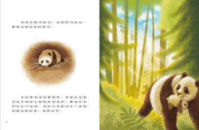 愛的故事‧知識繪本5：我的神祕保母