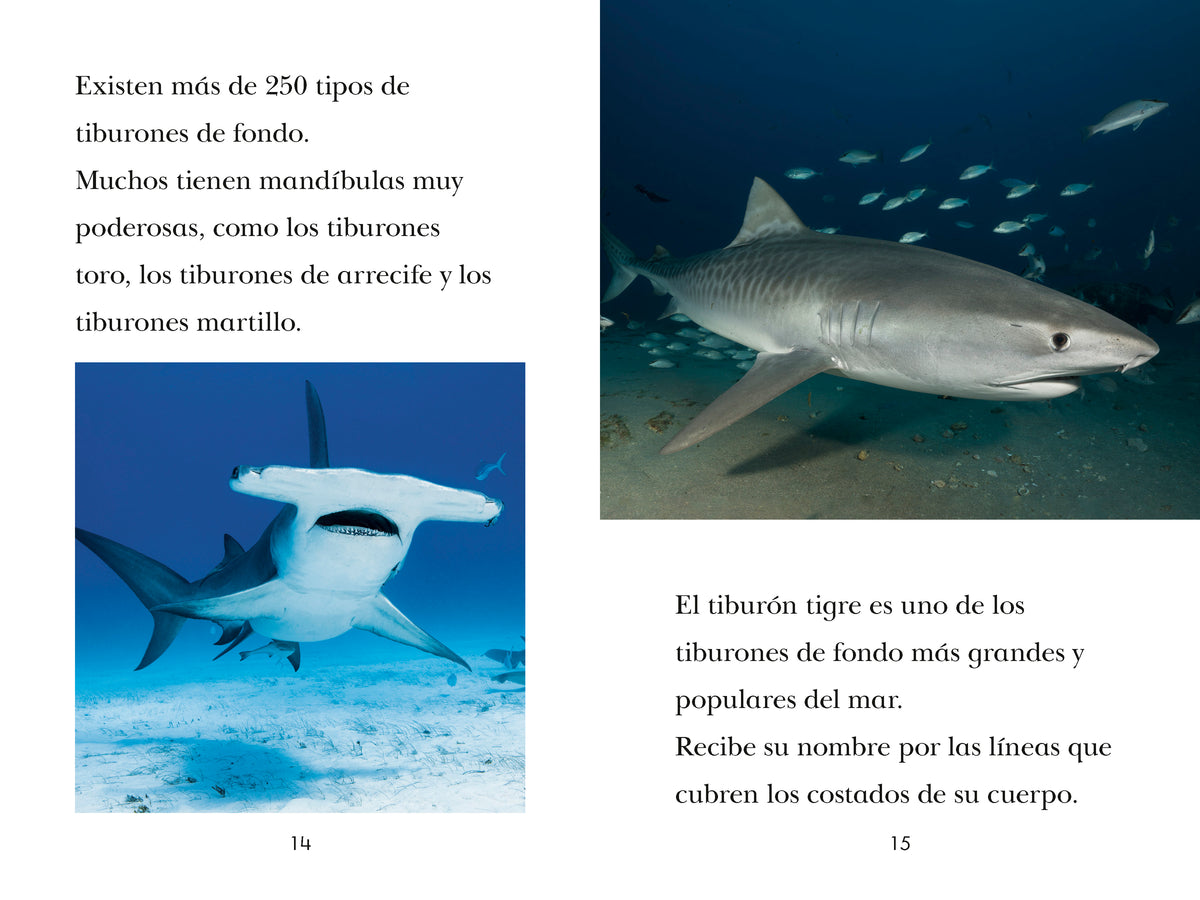 Book image [onix-asset:132ce95e0666f39df5bb4ed9ac0689fb8dd0c1a539a42441d97b88e3361ad829]
