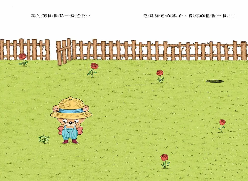 你為什麼不開花-Children’s picture books-買書書 BuyBookBook