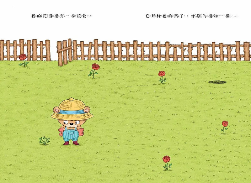 你為什麼不開花-Children’s picture books-買書書 BuyBookBook