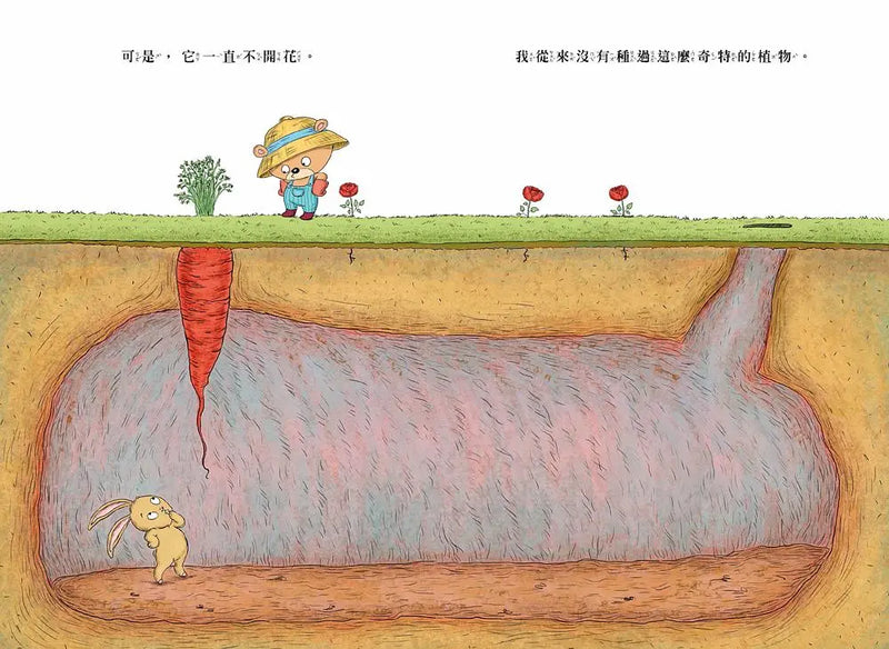 你為什麼不開花-Children’s picture books-買書書 BuyBookBook