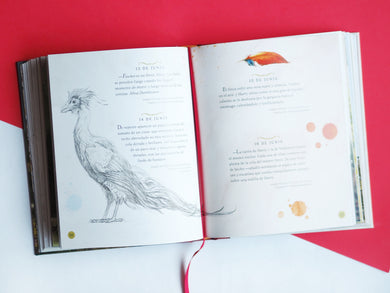 Harry Potter: Un año mágico / Harry Potter –A Magical Year: The Illustrations of Jim Kay interior 3 (ISBN 9788418797125) [onix:4b596147885aa9f6d27e8c01cac7320a]