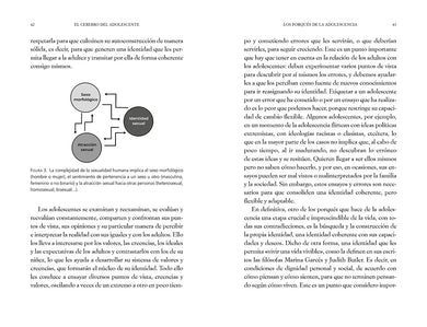 El cerebro del adolescente: Descubre cómo funciona para entenderlos y acompañarlos / The Teenage Brain: Explore Its Workings to Understand and Support Them interior 3 (ISBN 9788425361357) [onix:d7ed60f5dc337ac8fdbd9cb2d893c95d]