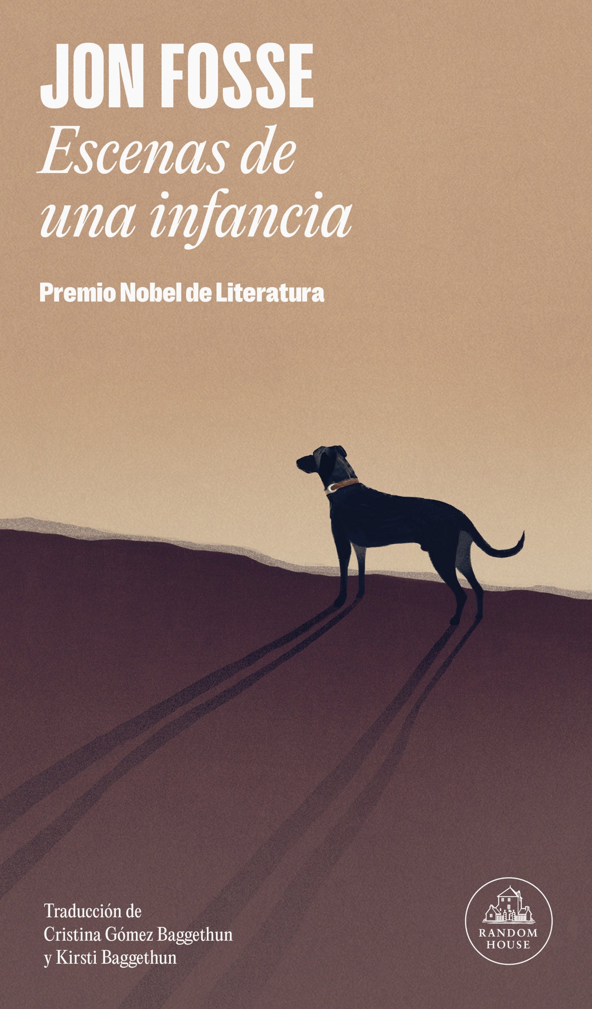 Escenas de una infancia/ Scenes from a Childhood cover (ISBN 9786073853514) [onix:d81f4c84f9cbcc067b55f07135b3ffd2]