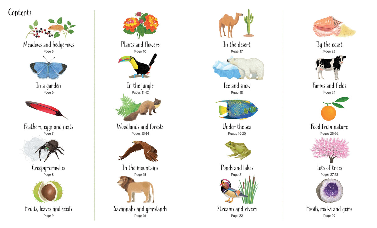 1000 Things in Nature interior 1 (ISBN 9781474922128) [onix-asset:1ff43f1e06da55cefcf34cf4ec4431761a53ac62f1828adb8ddcc99d54293e2b]
