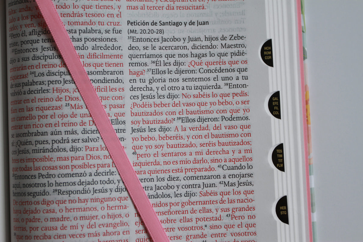 Biblia Reina Valera 1960 letra grande, tamaño manual con índice, tapa dura rosas rosadas / Spanish Bible RVR 1960 Handy Size Large Print HC with Thumb Index interior 5 (ISBN 9798890985583) [onix:c56987895da734d8854ab9d80c1f4b9c]