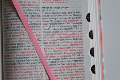 Biblia Reina Valera 1960 letra grande, tamaño manual con índice, tapa dura rosas rosadas / Spanish Bible RVR 1960 Handy Size Large Print HC with Thumb Index interior 5 (ISBN 9798890985583) [onix:c56987895da734d8854ab9d80c1f4b9c]