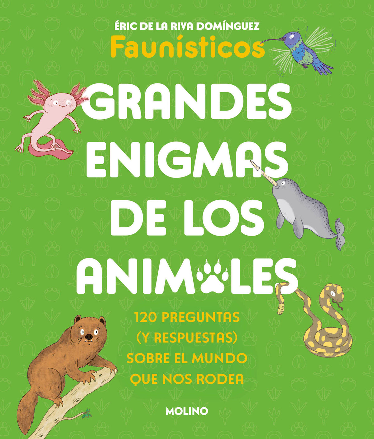 Grandes enigmas de los animales / Great Mysteries of the Animal Kingdom cover (ISBN 9788427253698) [onix:5055cfe18219bf0ce9dd47853f984d1e]