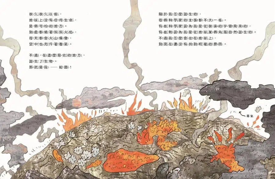 微生物小祕密系列#01 - #04：破除刻板印象、認識生活中無所不在的細菌、病毒、真菌、原生生物 (共4冊)-非故事: 科學科技 Science & Technology-買書書 BuyBookBook