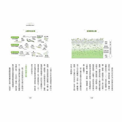 有趣到睡不著的自然科學 - 沒有芯的蠟燭也能燒 ?-非故事: 科學科技 Science & Technology-買書書 BuyBookBook