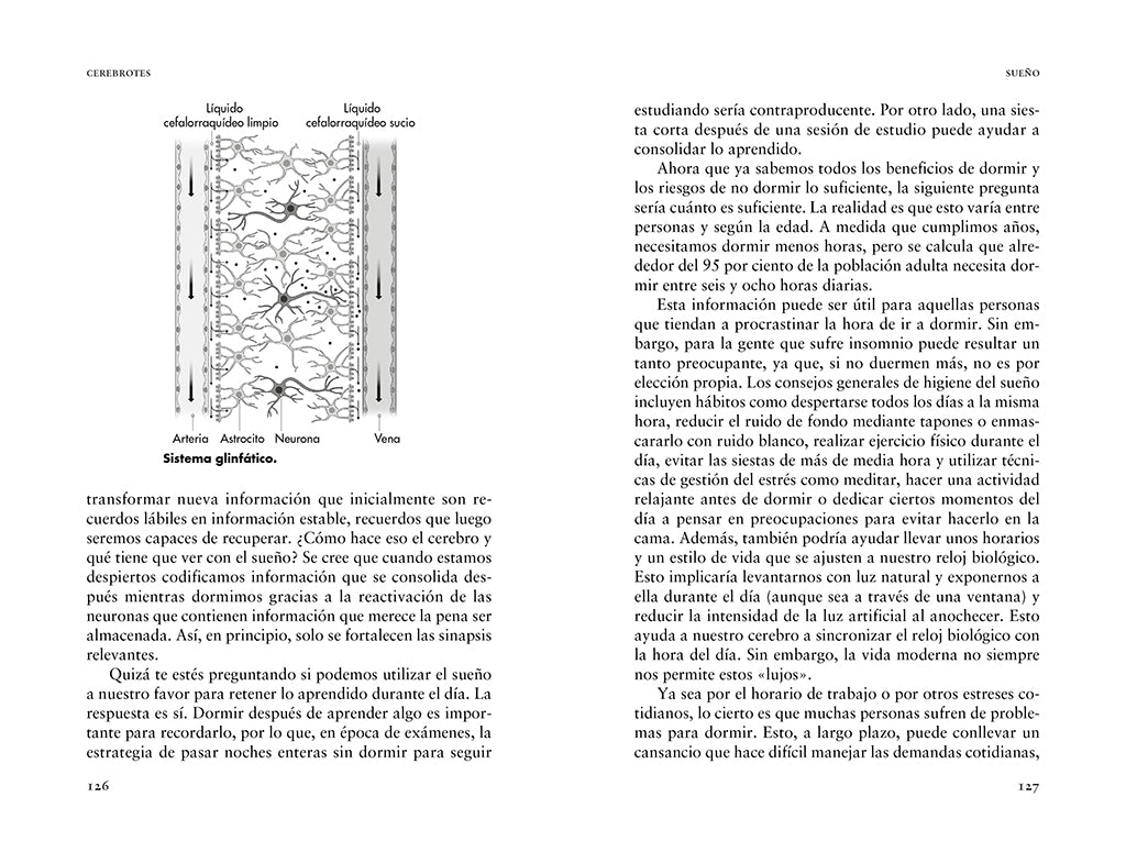 Cerebrotes: Cultiva y moldea tu cerebro gracias a la neuroplasticidad / Brainiac interior 3 (ISBN 9788419965011) [onix:ead237ba317a4b95d8c24890be1266ad]