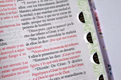 Biblia Reina Valera letra gigante, tapa dura, flores moradas, con cantos pintados e índice / Spanish Bible Reina Valera Giant Print, Hardcover Purple Flowers interior 6 (ISBN 9798890985637) [onix:62b6f66a65eaa34de5656eee3acfb458]
