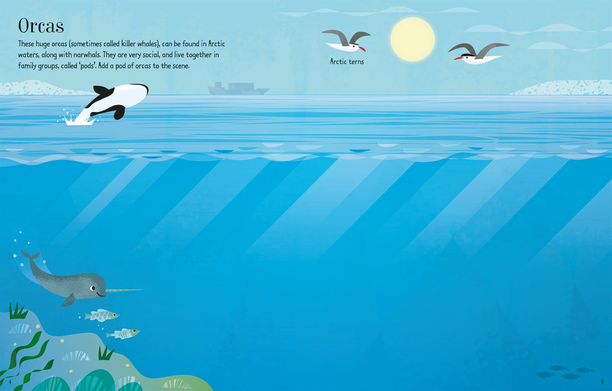 First Sticker Book Narwhals interior 1 (ISBN 9781474968294) [onix-asset:db79d2cd0368d344ee998c64f907844fedc10d847c670e0fa1325361495233db]