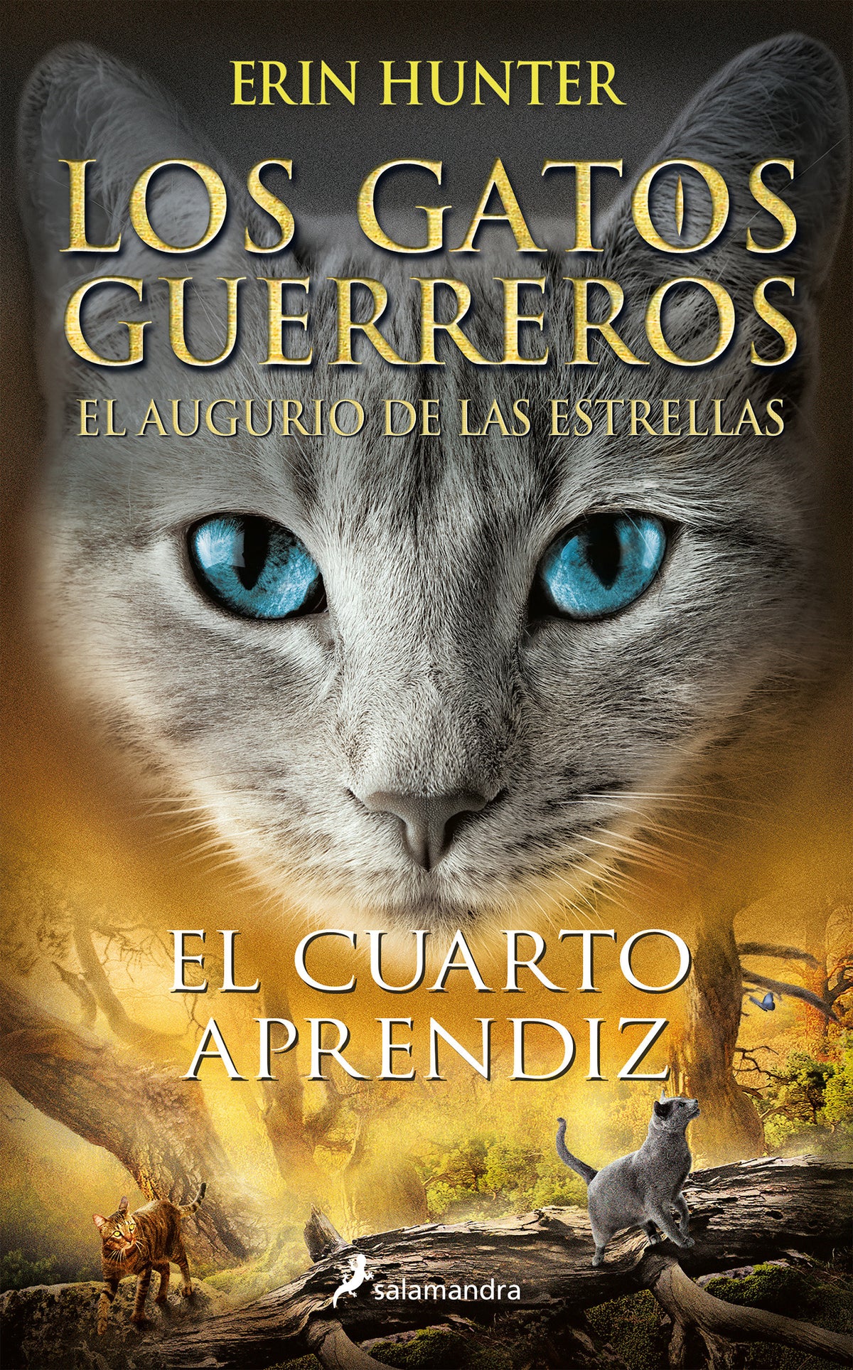 El cuarto aprendiz / The Fourth Apprentice cover (ISBN 9788418174292) [onix:9422141777a62383477e712cf94cde46]