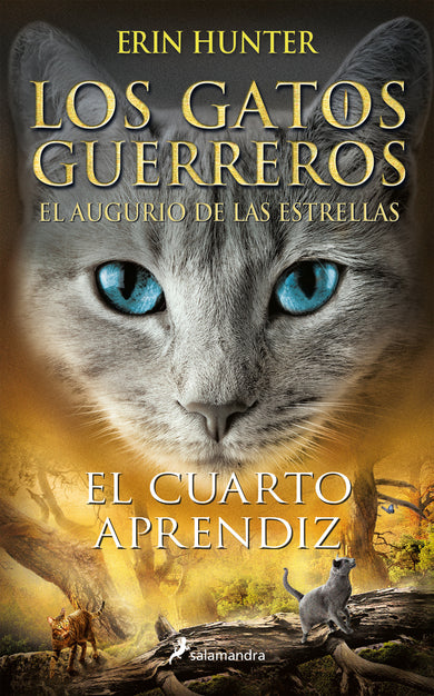 El cuarto aprendiz / The Fourth Apprentice cover (ISBN 9788418174292) [onix:9422141777a62383477e712cf94cde46]