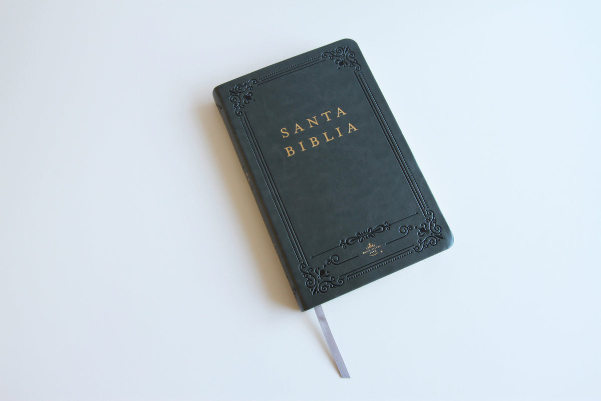 Biblia RVR 1960 letra grande tamaño manual, Piel gris con índice / Spanish Bible RVR 1960 Handy Size Large Print Leathersoft Gray with index interior 12 (ISBN 9798890982148) [onix:7617c1d094b5183a2d1c56cb9630b425]