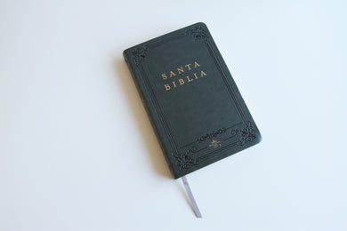 Biblia RVR 1960 letra grande tamaño manual, Piel gris con índice / Spanish Bible RVR 1960 Handy Size Large Print Leathersoft Gray with index interior 12 (ISBN 9798890982148) [onix:7617c1d094b5183a2d1c56cb9630b425]