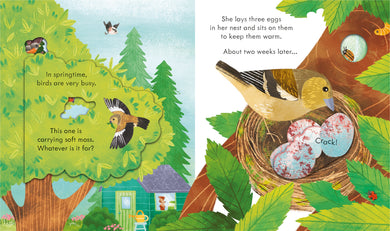 Peep Inside Springtime interior 1 (ISBN 9781803704340) [onix-asset:95900f98609ab11df657ae6d6dc23c20f2e15a80b39dfa0ec0b64e28f552e121]