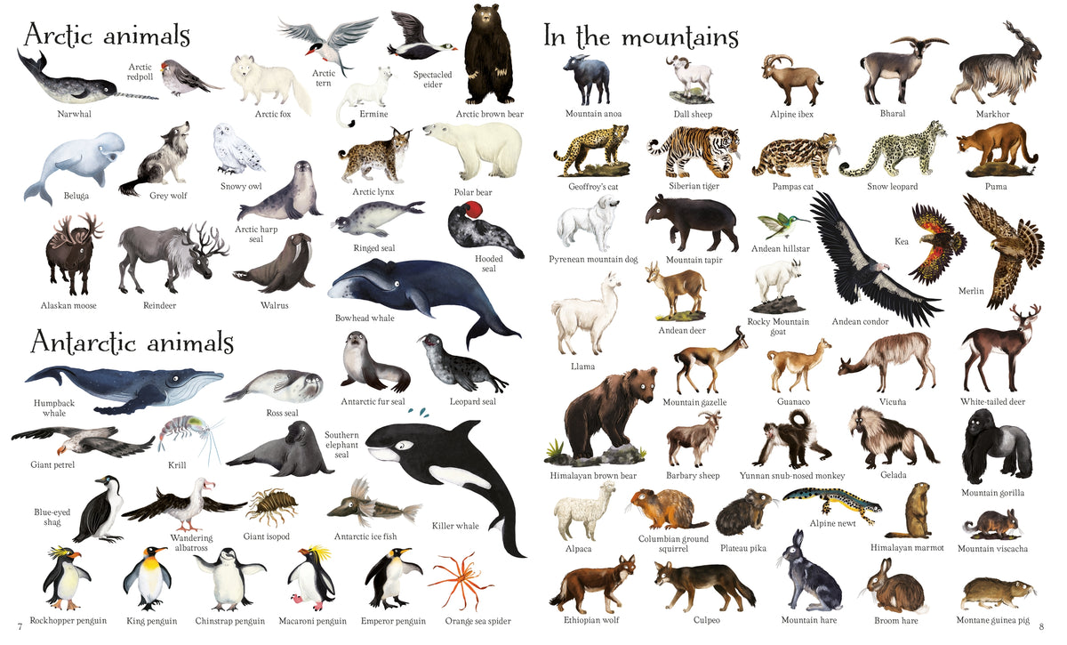 1000 Animals interior 1 (ISBN 9781474951340) [onix-asset:e3a037cdc0907d4c50652cab544ccb9bf953794b7475e0bc03f19f1cbbcb6dfd]