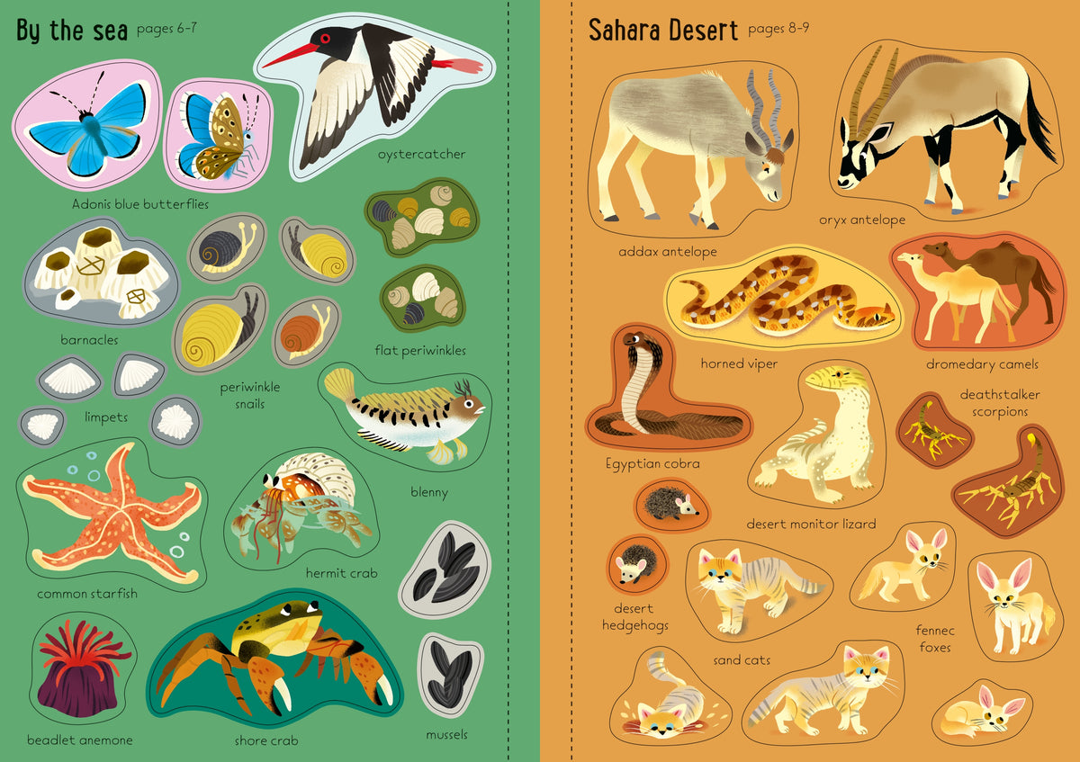 Little First Stickers Nature interior 1 (ISBN 9781805071143) [onix-asset:801b05ba82aaafea96a7f1614dae92f084800155ca9fc67946bac54d903c1708]