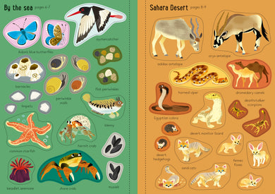 Little First Stickers Nature interior 1 (ISBN 9781805071143) [onix-asset:801b05ba82aaafea96a7f1614dae92f084800155ca9fc67946bac54d903c1708]