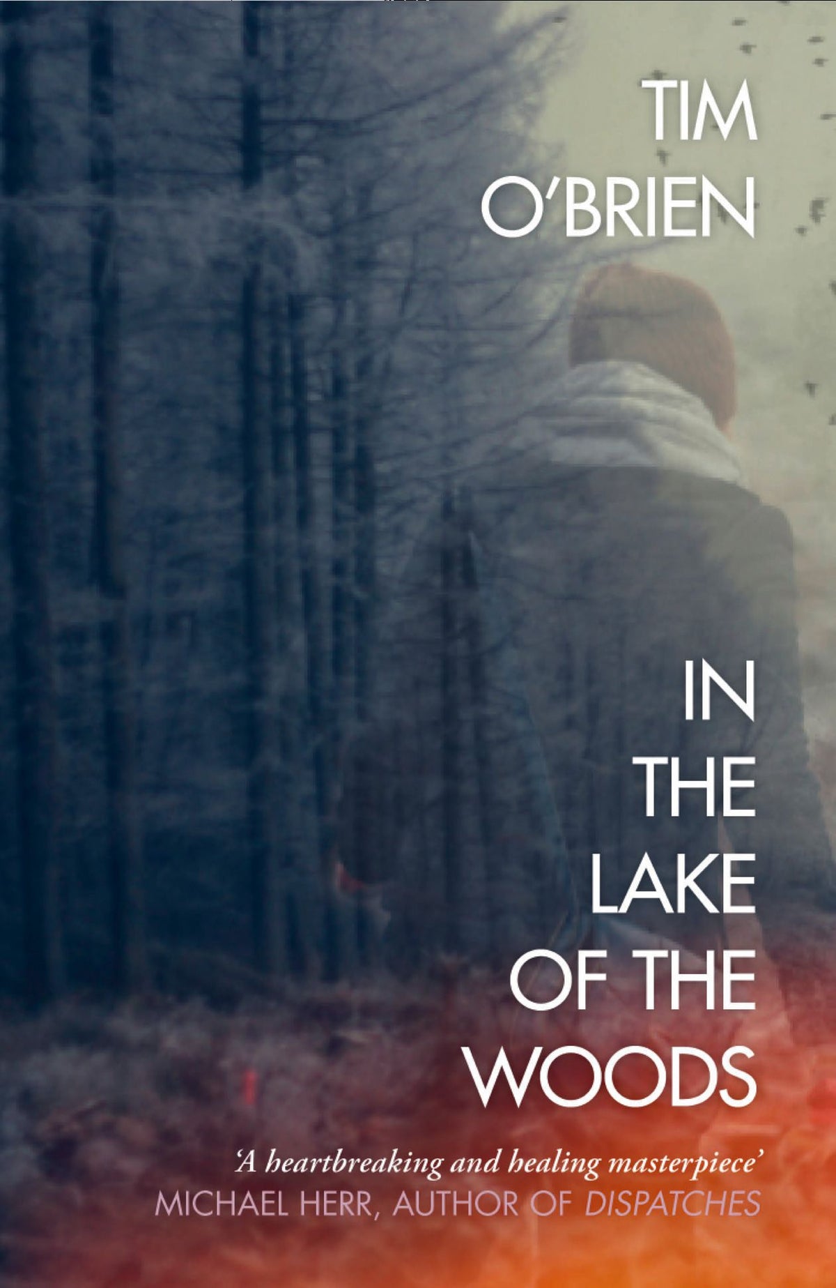 In the Lake of the Woods cover (ISBN 9780006543954) [onix-asset:340cca63ce7ccc8fef5e8990f097af518778c8a6f1018c35b5df7a1d1e1c32ab]
