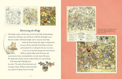 A Visit to Brambly Hedge (Jill Barklem)