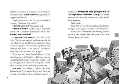 Minecraft Ironsword Academy