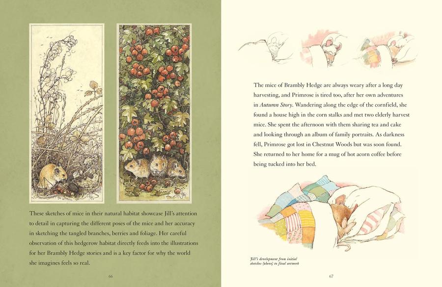 A Visit to Brambly Hedge (Jill Barklem)
