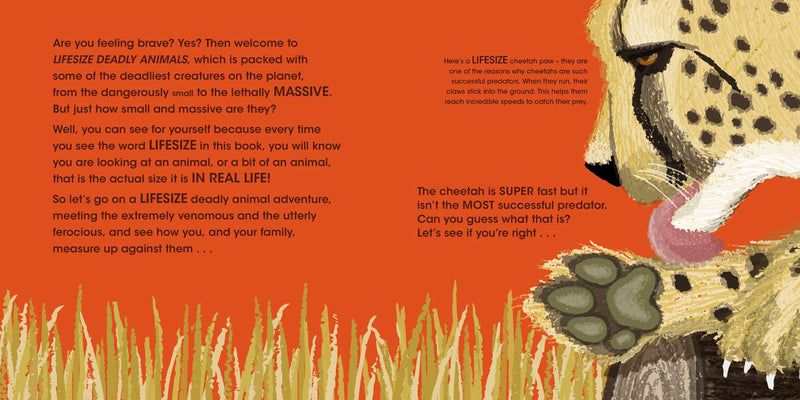 Lifesize Deadly Animals (Sophy Henn)-Children’s / Teenage general interest: Nature and animals-買書書 BuyBookBook