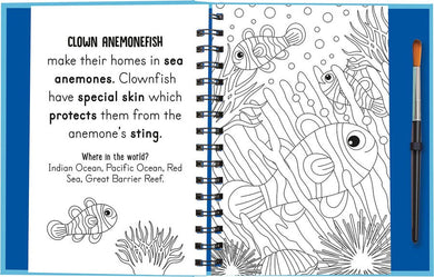 Splish and Splash Under the Sea (Magic Water Colouring) (Jenny Copper)