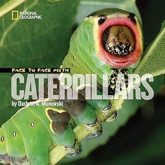 Face to Face with Caterpillars