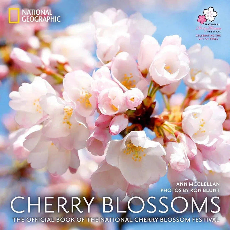 Cherry Blossoms-Photography and photographs-買書書 BuyBookBook