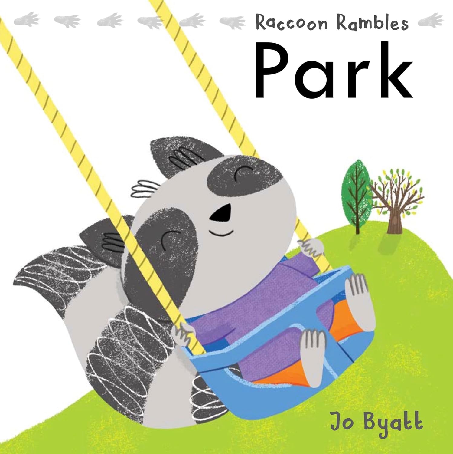 Raccoon Rambles: Park