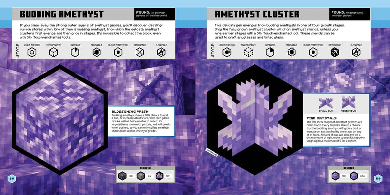 Minecraft Official Blocks Guide